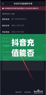 抖音充值能否退还及其退款流程详解