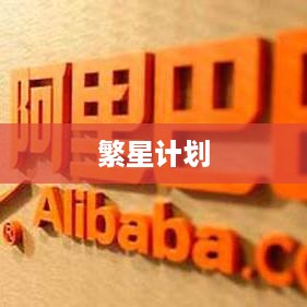 繁星计划与抖音官网，探索与解析