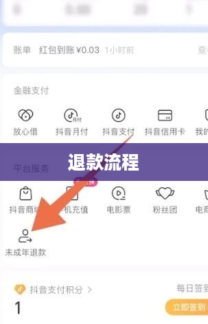 抖音充值能否退款及退款流程详解