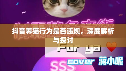 抖音养猫行为是否违规，深度解析与探讨