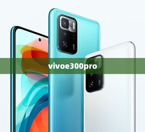vivoe300pro