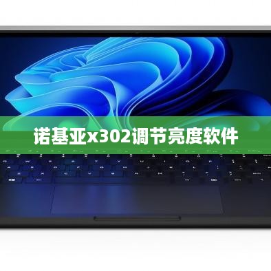诺基亚x302调节亮度软件