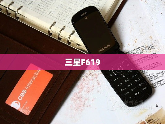 三星F619