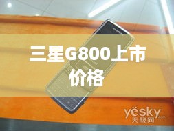 三星G800上市价格