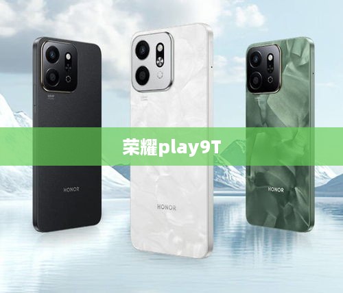 荣耀play9T