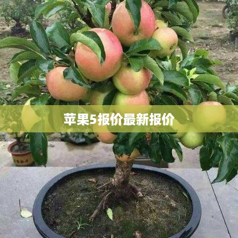 苹果5报价最新报价