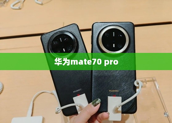 华为mate70 pro