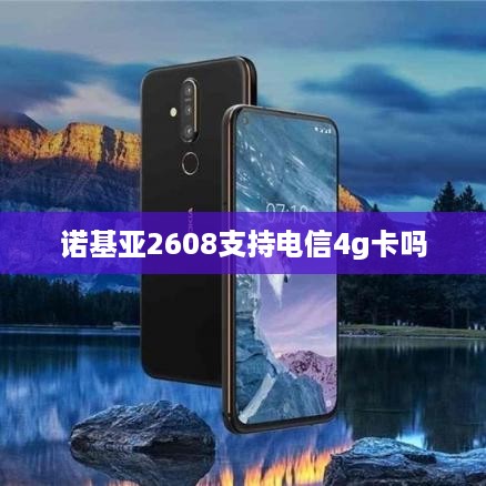 诺基亚2608支持电信4g卡吗
