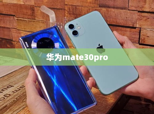 华为mate30pro