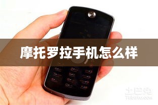 摩托罗拉手机怎么样