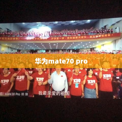 华为mate70 pro