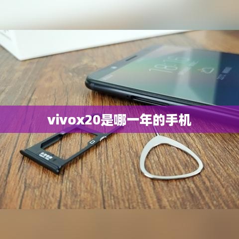 vivox20是哪一年的手机