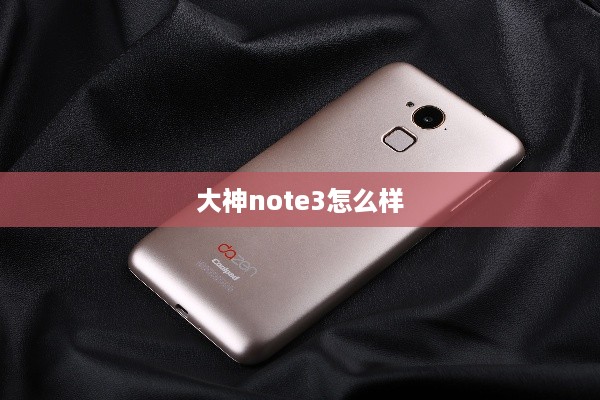 大神note3怎么样