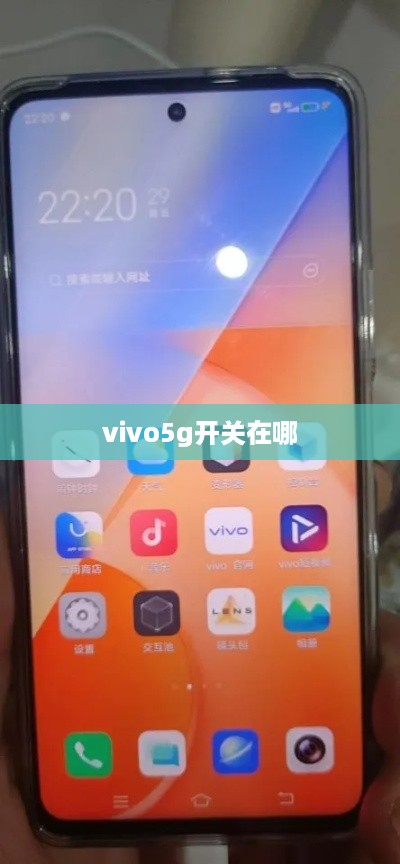 vivo5g开关在哪