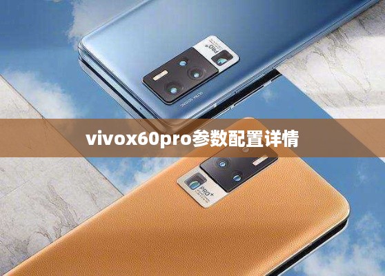 vivox60pro参数配置详情