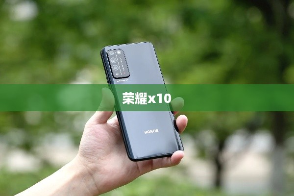 荣耀x10