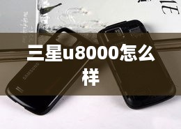 三星u8000怎么样