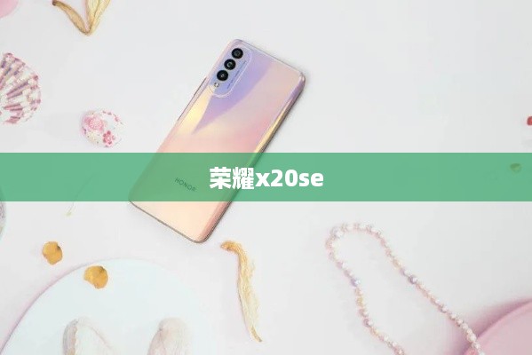 荣耀x20se