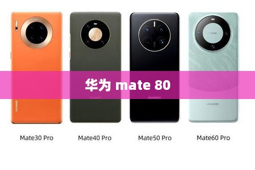 华为 mate 80