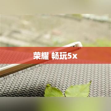 荣耀 畅玩5x