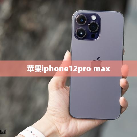 苹果iphone12pro max