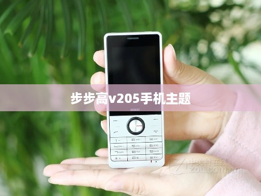 步步高v205手机主题