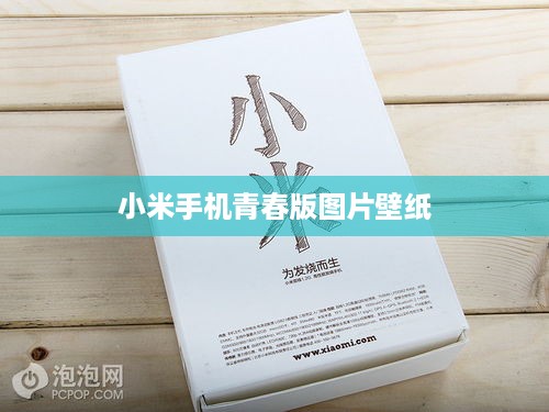 小米手机青春版图片壁纸