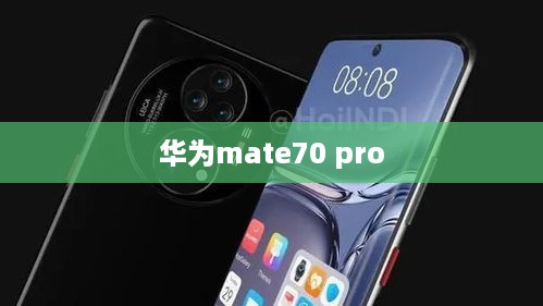 华为mate70 pro