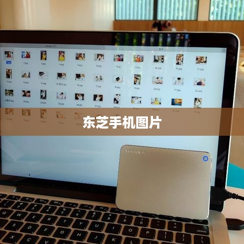 东芝手机图片  第1张