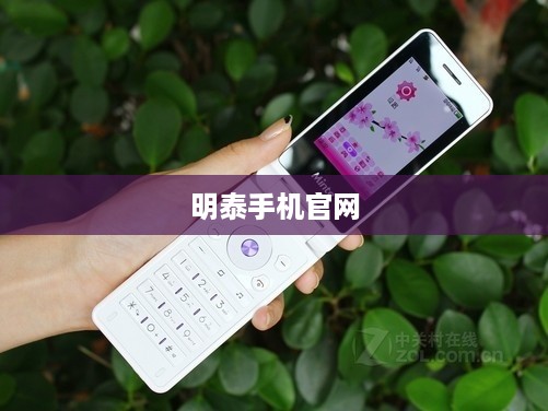 明泰手机官网  第1张