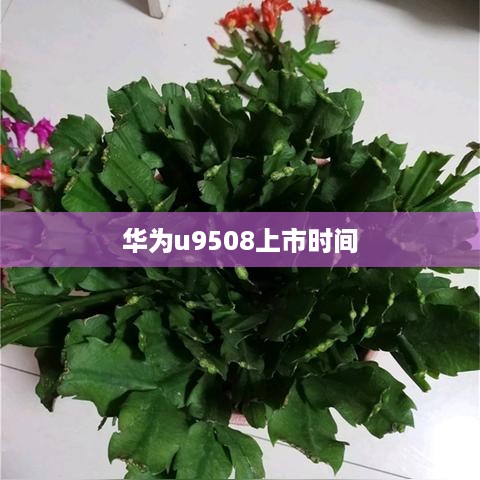 华为u9508上市时间