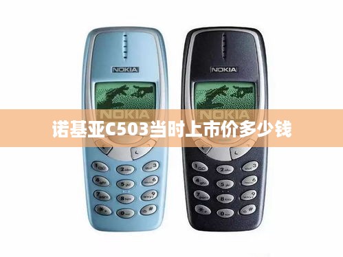 诺基亚C503当时上市价多少钱  第1张