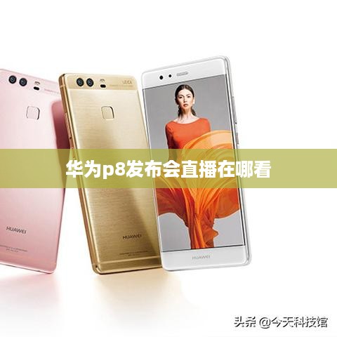 华为p8发布会直播在哪看