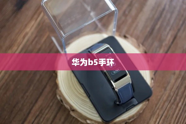 华为b5手环