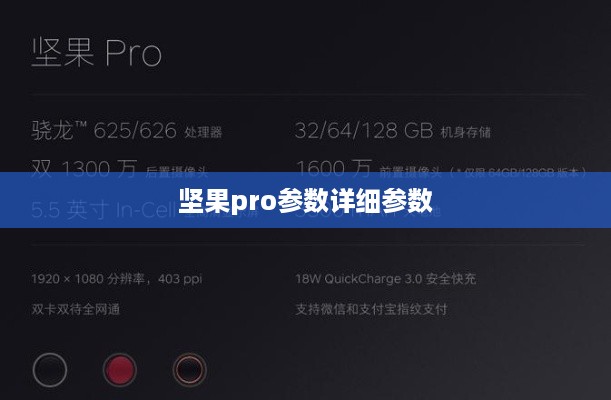 坚果pro参数详细参数