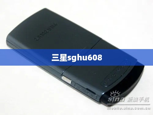 三星sghu608