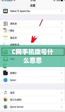 C网手机拨号什么意思  第1张