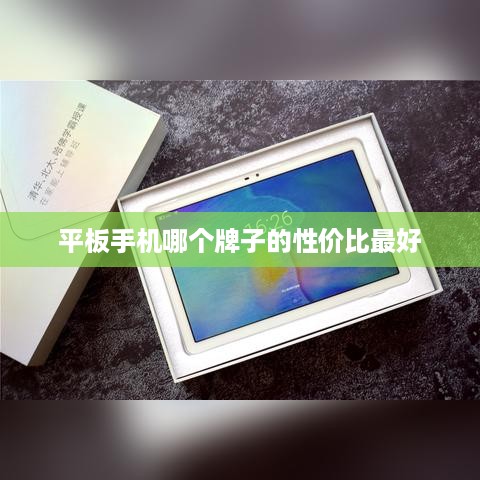 平板手机哪个牌子的性价比最好