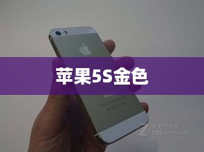苹果5S金色