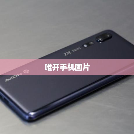 唯开手机图片  第1张