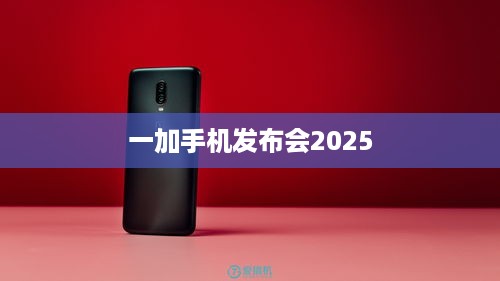 一加手机发布会2025
