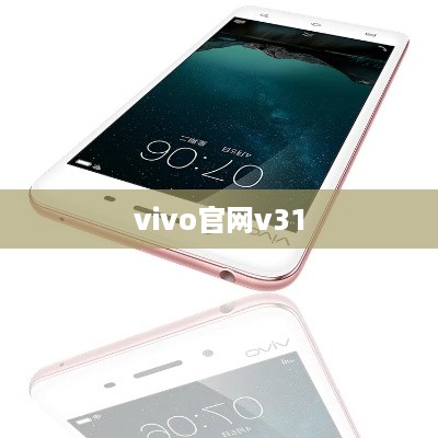 vivo官网v31