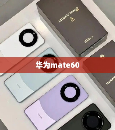 华为mate60