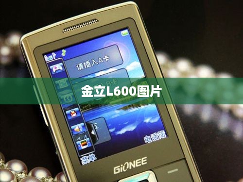 金立L600图片  第1张