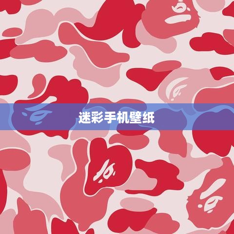 迷彩手机壁纸  第1张