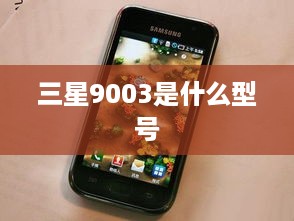 三星9003是什么型号  第1张