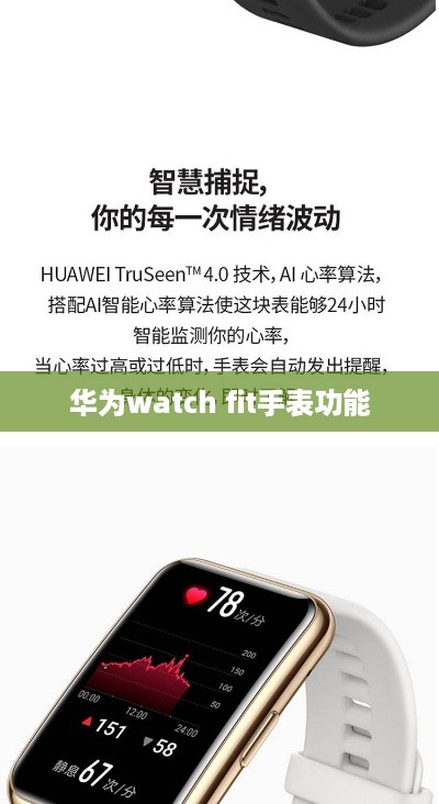 华为watch fit手表功能