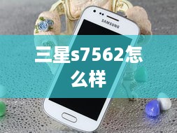 三星s7562怎么样  第1张