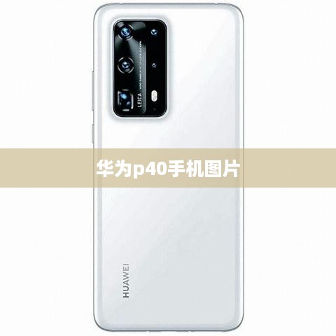 华为p40手机图片  第1张