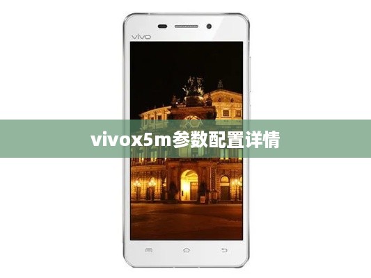 vivox5m参数配置详情